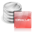 Oracle Database software icon