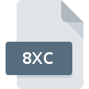 8XC Dateisymbol