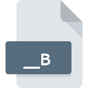 __B file icon