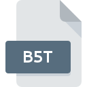 B5T Dateisymbol