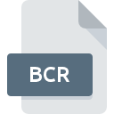 Icona del file BCR