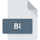 BI Dateisymbol