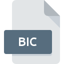 BIC file icon
