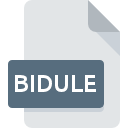 Icona del file BIDULE