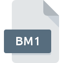 Icône de fichier BM1