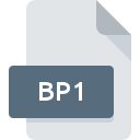 BP1 bestandspictogram
