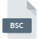 Icona del file BSC