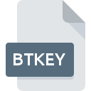 Icône de fichier BTKEY