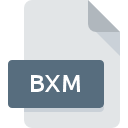 BXM icono de archivo