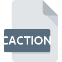 CACTION file icon