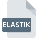 Icône de fichier ELASTIK