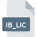 Icona del file IB_LIC