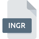 Icône de fichier INGR