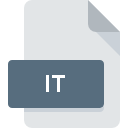 IT file icon