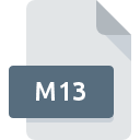 Icona del file M13