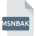 MSNBAKファイルアイコン