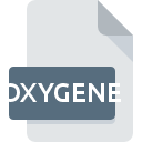 OXYGENE ícone do arquivo