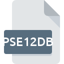 PSE12DB bestandspictogram