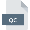 QC ícone do arquivo
