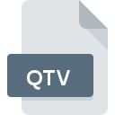 Icona del file QTV