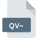 Icona del file QV~