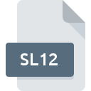 Icône de fichier SL12