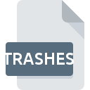 Icône de fichier TRASHES