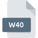 W40 file icon